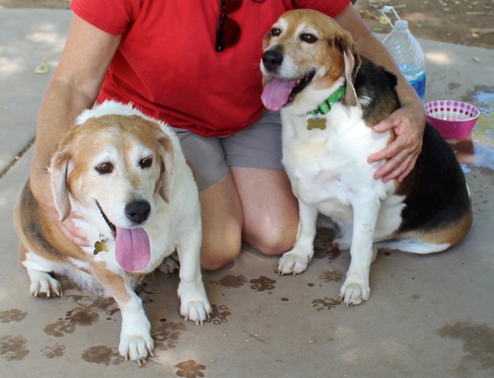 Franklin and Billy